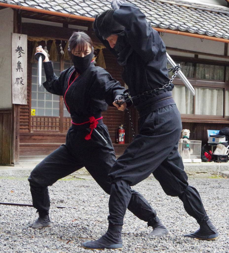 黒党まつりで忍術演武奉納 忍者犬 も初登場 伊賀 敢國神社 伊賀タウン情報 You